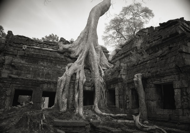 アジアの聖地　――井津建郎 プラチナ・プリント写真展――