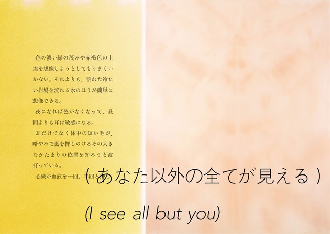 ソー・ソウエン 小内光 二人展「(あなた以外の全てが見える)(I see all but you)」 ソー・ソウエン 小内光 二人展「(あなた以外の全てが見える)(I see all but you)」