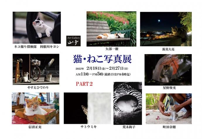 第13回 猫・ねこ写真展 PART2 第13回 猫・ねこ写真展 PART2