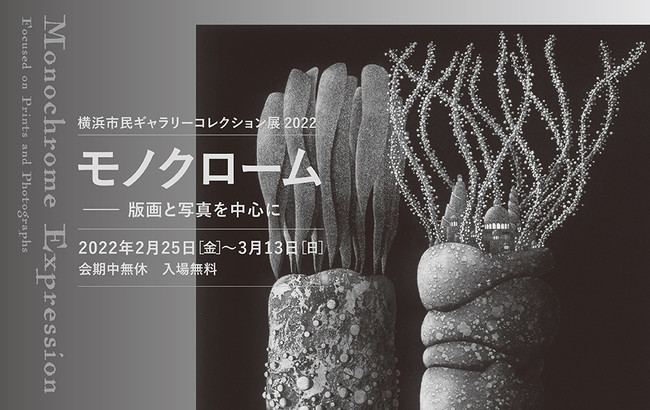 横浜市民ギャラリーコレクション展2022 モノクローム ―版画と写真を中心に 横浜市民ギャラリーコレクション展2022 モノクローム ―版画と写真を中心に