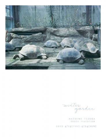 手塚なつめ個展「Winter Garden」 手塚なつめ個展「Winter Garden」