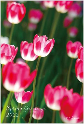 武内 俊明 個展『Flower Photo 22 x Crossing 2022』 武内 俊明 個展『Flower Photo 22 x Crossing 2022』