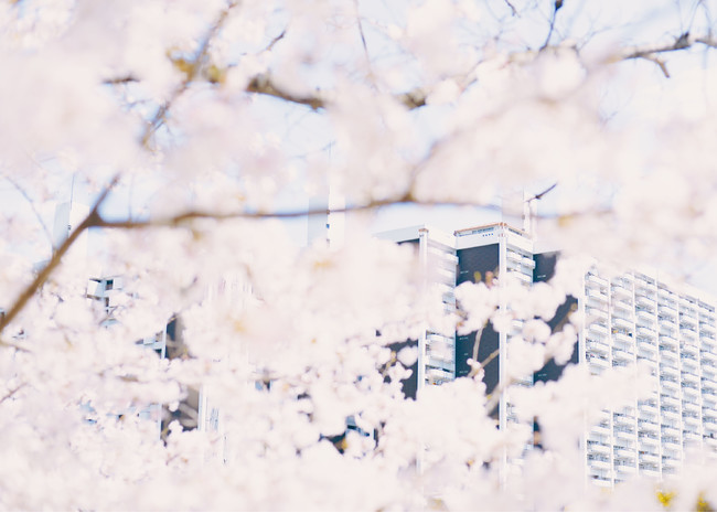 金本 凜太朗 写真展 「neighborhood」 金本 凜太朗 写真展 「neighborhood」