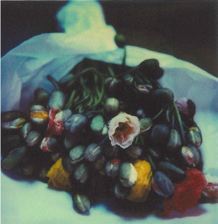 澤本玲子写真展 澤本玲子写真展