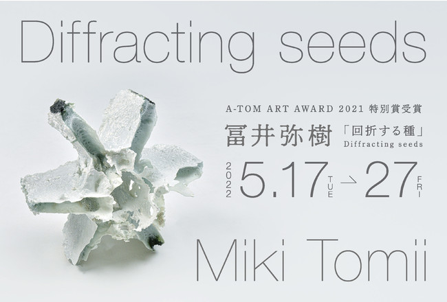 冨井弥樹「回折する種」Diffracting seeds 冨井弥樹「回折する種」Diffracting seeds