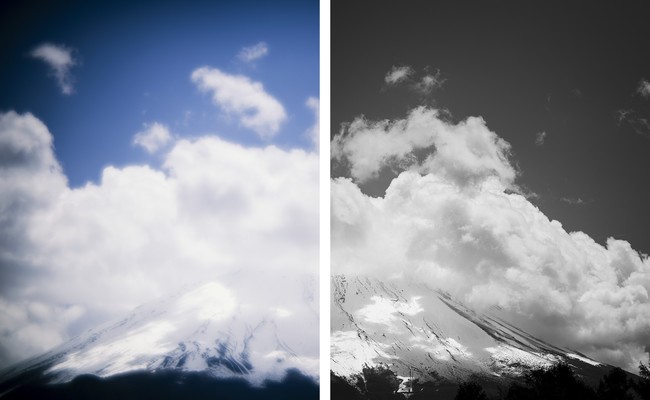 大和田良 写真展『Differential Notes (Case1_Nature)』 大和田良 写真展『Differential Notes (Case1_Nature)』