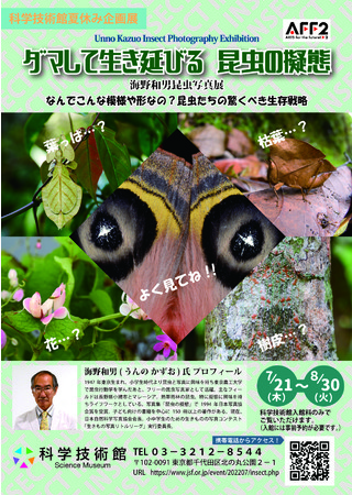 海野和男昆虫写真展「ダマして生き延びる 昆虫の擬態」 海野和男昆虫写真展「ダマして生き延びる 昆虫の擬態」
