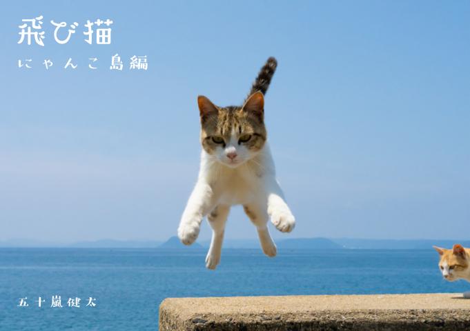 もふあつめ展 もふあつめ展