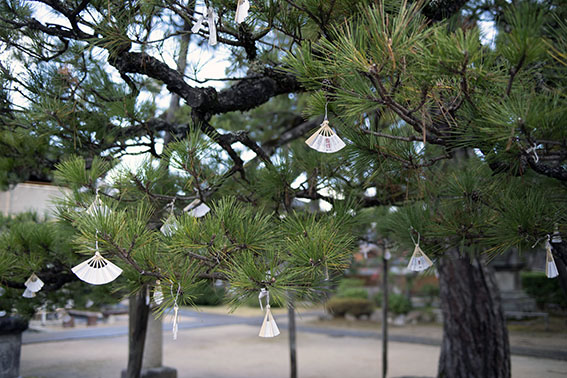 平賀淳写真展「花街 補遺 ー北近畿ー」