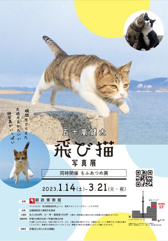 五十嵐 健太 飛び猫写真展 in 郵政博物館 五十嵐 健太 飛び猫写真展 in 郵政博物館