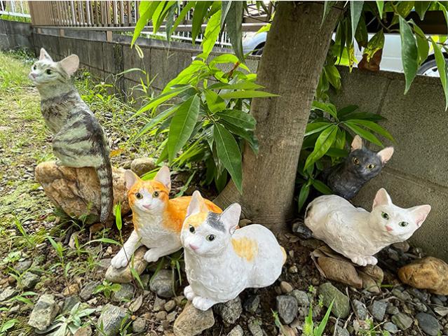 大橋美里 個展 「ひだまり」 大橋美里 個展 「ひだまり」