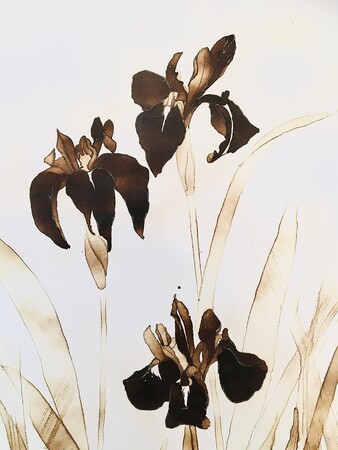 水川千春個展「根の花」 水川千春個展「根の花」