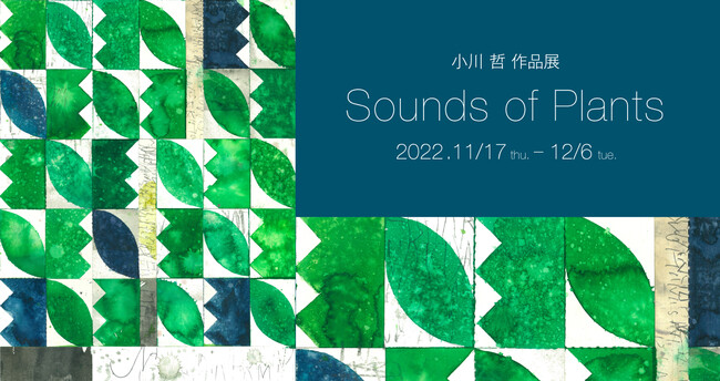 小川 哲 作品展「Sounds of Plants」