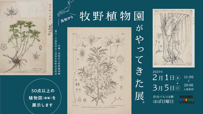 牧野植物園がやってきた展。 牧野植物園がやってきた展。