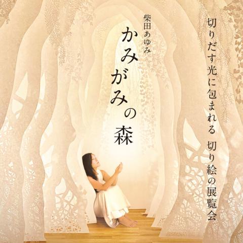 柴田あゆみ「かみがみの森」 柴田あゆみ「かみがみの森」