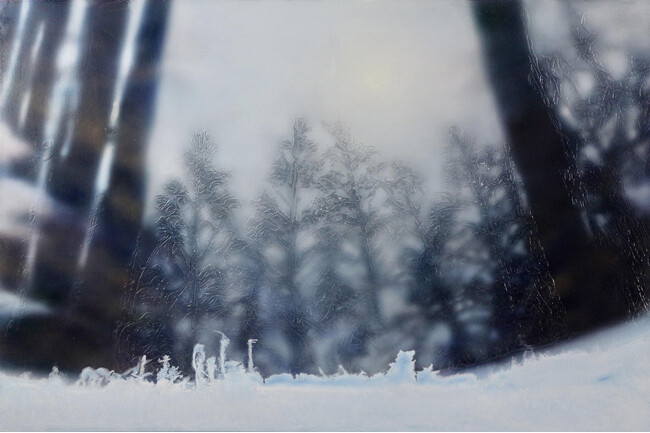 NANJO SELECTION vol. 2 岡田菜美個展 『いつか見た青い影』 NANJO SELECTION vol. 2 岡田菜美個展 『いつか見た青い影』