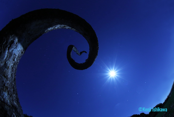 石川賢治月光写真展 月光浴『月夜の晩に』を開催! 石川賢治月光写真展 月光浴『月夜の晩に』を開催!