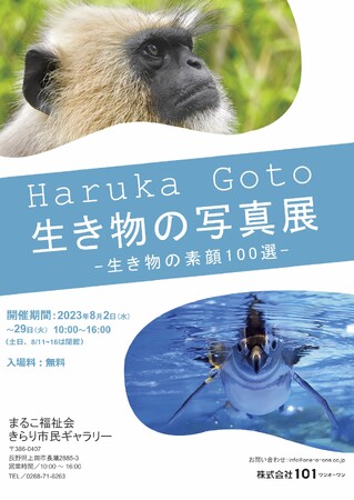 HARUKA GOTO 生き物の写真展2023~生き物の素顔100選~ HARUKA GOTO 生き物の写真展2023~生き物の素顔100選~