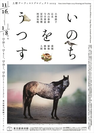 上野アーティストプロジェクト2023「いのちをうつす ―菌類、植物、動物、人間」 上野アーティストプロジェクト2023「いのちをうつす ―菌類、植物、動物、人間」