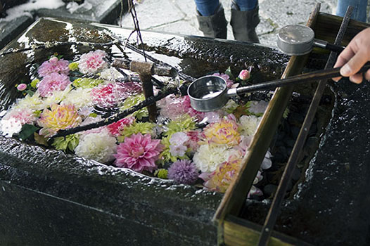 平賀淳写真展「花鏡」(巡回展) 平賀淳写真展「花鏡」(巡回展)