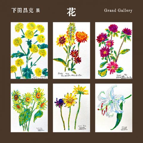 下田昌克展 「花」 下田昌克展 「花」