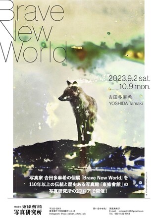 Brave New World Brave New World