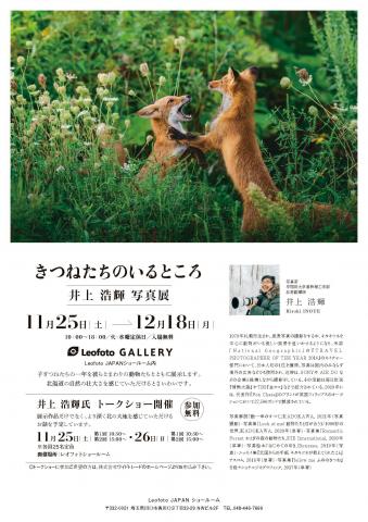 きつねたちのいるところ きつねたちのいるところ