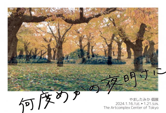 やましたみか 個展 「何度めかの夜明けに」 やましたみか 個展 「何度めかの夜明けに」