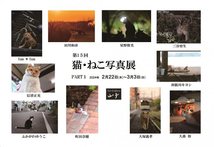 第15回 猫・ねこ写真展PART1 第15回 猫・ねこ写真展PART1