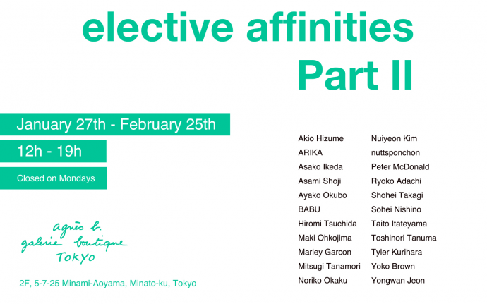 elective affinities elective affinities