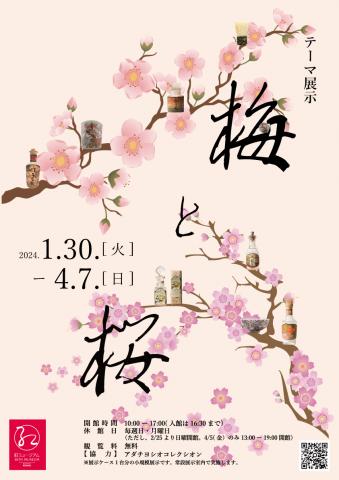 テーマ展示「梅と桜」 テーマ展示「梅と桜」