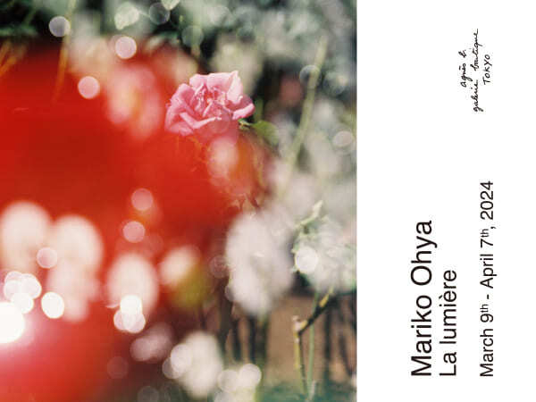 「La lumiere」展 「La lumiere」展