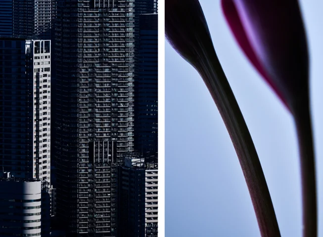 写真展 「shape」 写真展 「shape」