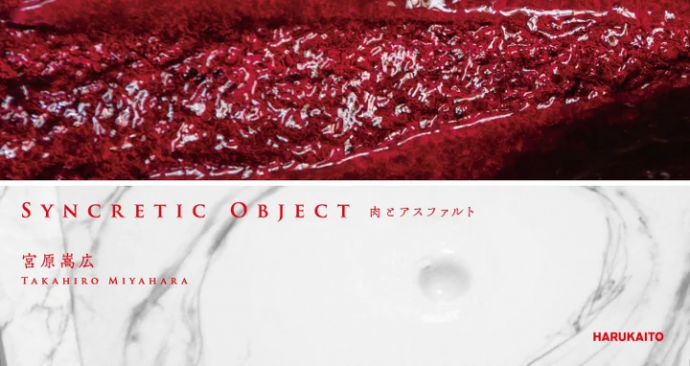 Syncretic Object - 肉とアスファルト- Syncretic Object - 肉とアスファルト-
