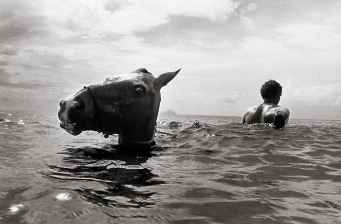 写真展 Andy Summers Photography: A SERIES OF GLANCES 写真展 Andy Summers Photography: A SERIES OF GLANCES