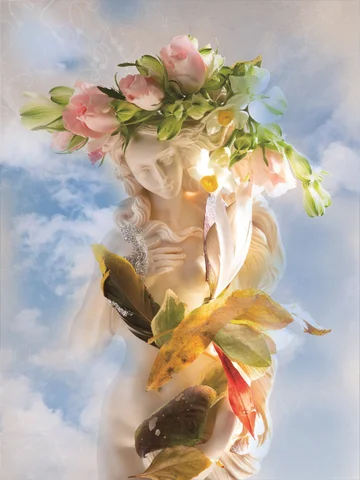 金城真喜子　写真展 「白鳥の歌を聴きたくて」