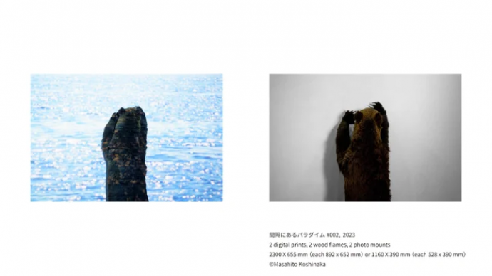 越中正人「剥製 パラダイム」展 越中正人「剥製 パラダイム」展