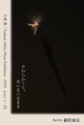 大城 翼 個展 やわらかくて、あいまいなまま 大城 翼 個展 やわらかくて、あいまいなまま