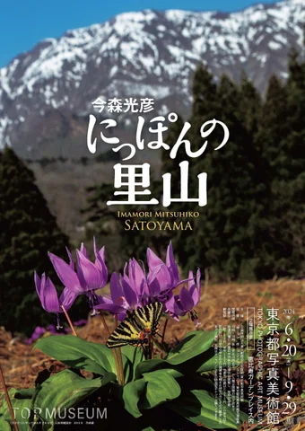 今森光彦 にっぽんの里山 今森光彦 にっぽんの里山