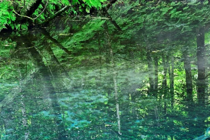 浅野 久男 写真展 「Past Light 光にふれる」 浅野 久男 写真展 「Past Light 光にふれる」