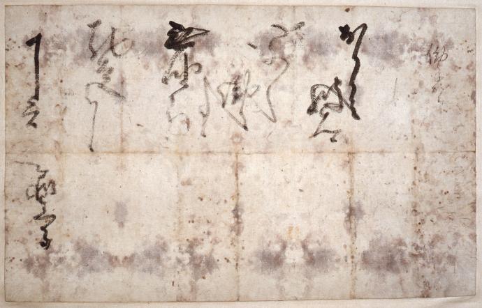 令和6年度秋季展 信長の手紙 令和6年度秋季展 信長の手紙