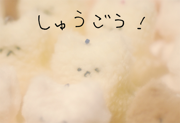 木南 玲個展「しゅうごう!」 木南 玲個展「しゅうごう!」