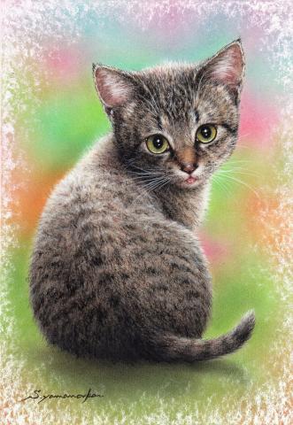 山中翔之郎個展 -パステルで描く動物たち- 山中翔之郎個展 -パステルで描く動物たち-