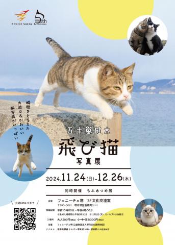 五十嵐健太 飛び猫写真展 五十嵐健太 飛び猫写真展
