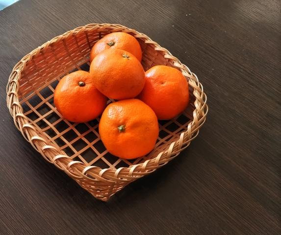竹工芸「エビ止めのパンかご」ワークショップ 竹工芸「エビ止めのパンかご」ワークショップ