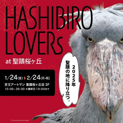 HASHIBIRO LOVERs HASHIBIRO LOVERs