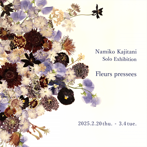 梶谷奈允子 個展 「Fleurs pressees」 梶谷奈允子 個展 「Fleurs pressees」