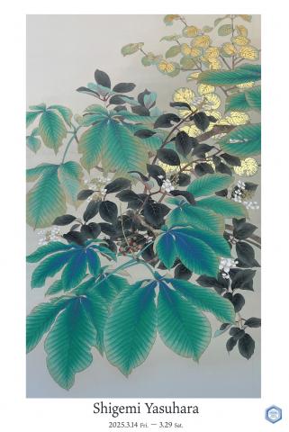 安原成美 個展 安原成美 個展
