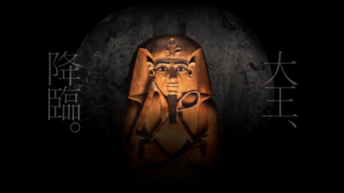 ACN ラムセス大王展 ファラオたちの黄金 / ACN Ramses the Great and the Gold of the Pharaohs ACN ラムセス大王展 ファラオたちの黄金 / ACN Ramses the Great and the Gold of the Pharaohs
