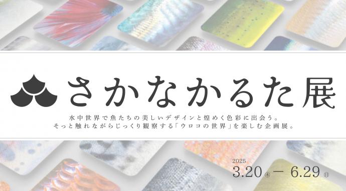 さかなかるた展